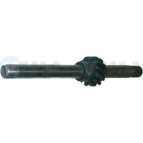 Oil pump, VEMA 13362